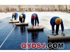 北京盛世康达建筑防水工程服务合作,维修,施工,服务信息